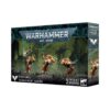 Blood Angels : Sanguinary Guard