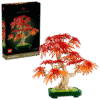 Japanese Red Maple Bonsai Tree