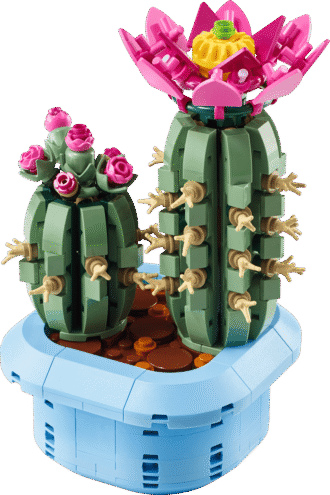 Flowering Cactus